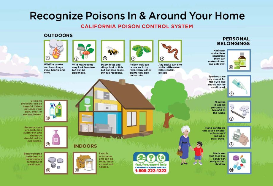 Poisons around the house